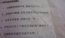 雨后心情的句子