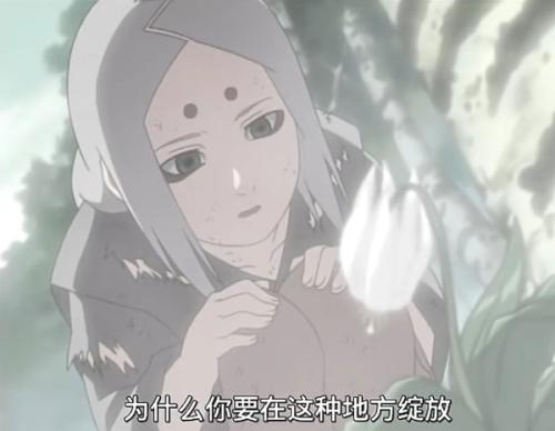 Dashemaru经典报价