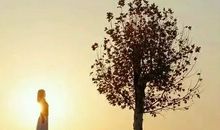 励志唯美的英文句子