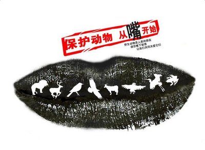 保护动物的英语短语