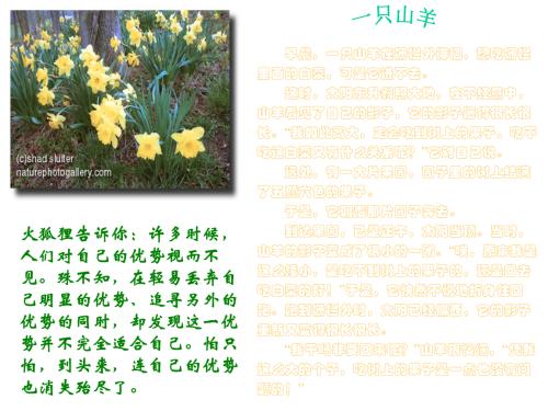 保险公司奖励短信