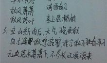 描写团结的成语