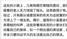 描写文明的段落