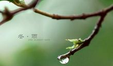冬雨的诗句古诗