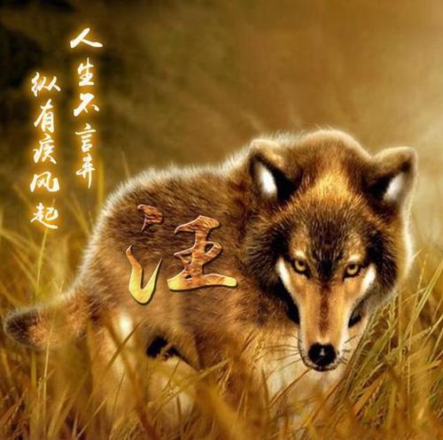 狼人励志名言