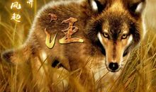 狼性的励志名言