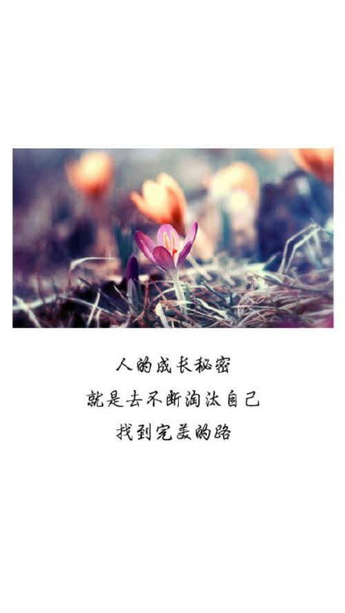 美丽清新的句子