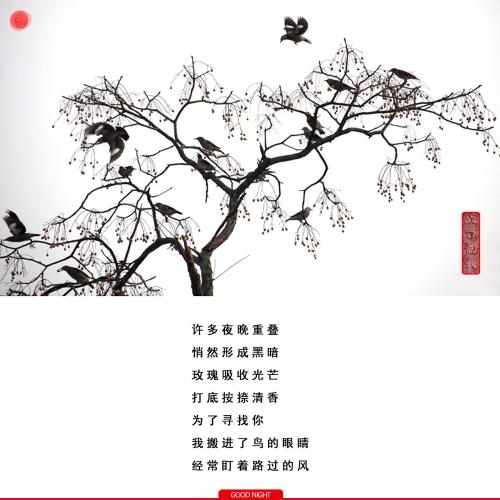 月球古人表达的诗歌