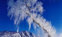 关于冬天的语句