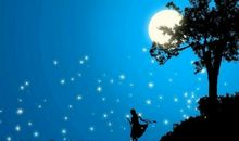 描写夏天月亮的句子