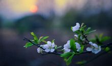 比较文艺的短句子