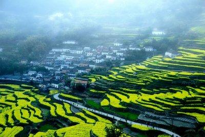 优美的学校环境