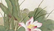 有关于荷花的诗句