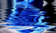 蓝颜知己的句子