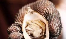 描写暴风雪的成语