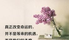 心情低谷的句子