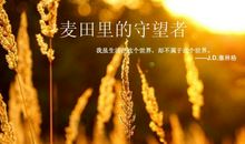 麦田里的守望者好句