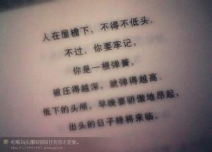 表达兄弟情意的句子