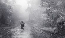 描写雾景的段落