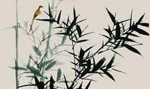 古诗中有鸟的诗句