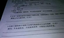 描写议论抒情的句子