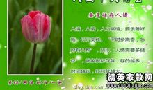 关于爱的名言大全