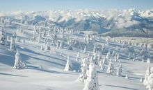 关于冬天下雪的句子