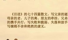 龙应台作品经典句子