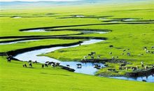 描写草原的优美段落