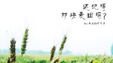 《麦田守望者》中的行情