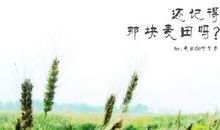 麦田守望者名句