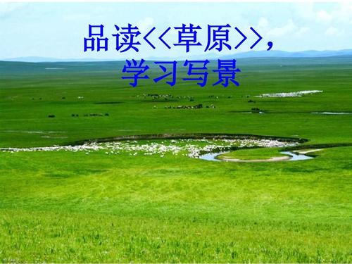 描述草原的一段