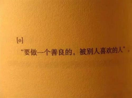 霸气白白的报价