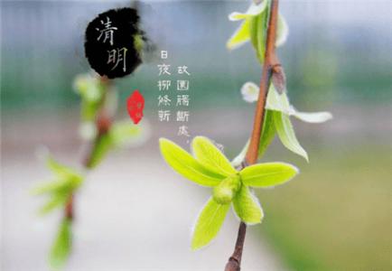 清明节短信问候