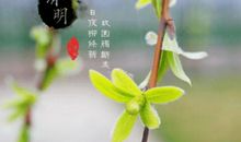 清明节短信问候语