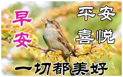 六月周末的祝福