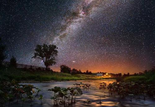 关于东宇的古诗