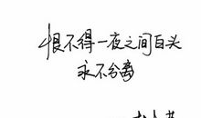 三月里的幸福饼里面的优美句子