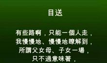 龙应台目送语录