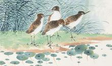 带鸟的诗句古诗