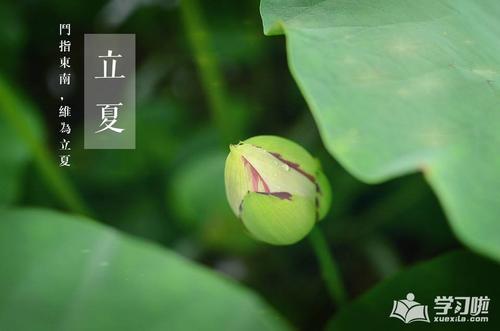 写关于植物的谚语