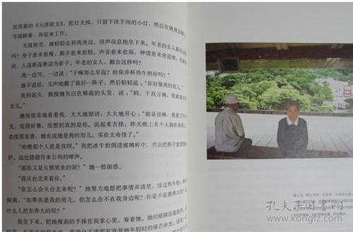 龙鹰台山火集合报价