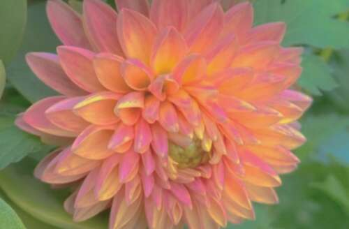 审美文案适合激励自己