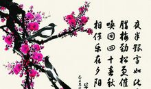 梅花诗词集锦大全