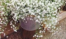 满天星的美好语录