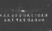 感情的句子幸福