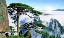 描写黄山的古诗