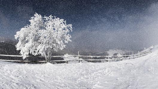 经典句子描述雪景