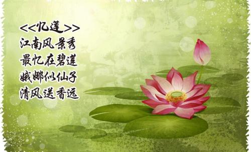 描写莲花的古诗