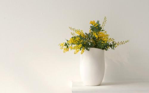 每天早上给女友的快乐句子早上给女友的快乐句子2